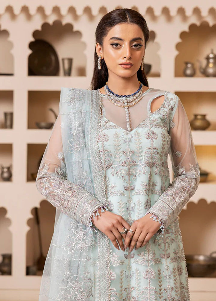 Gulmira By House Of Nawab Embroidered Net Suits Unstitched 3 Piece HON24G4 D-03 Tabsira - Luxury Collection
