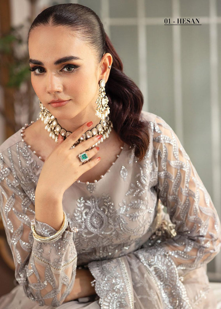 Gulmira By House of Nawab Embroidered Net  Unstitched Saree HON23G3 D-01 Hesan - Luxury Collection