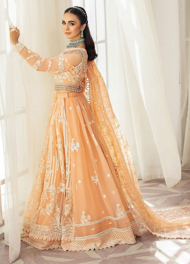 Gulmira By House of Nawab Embroidered Organza Suits Unstitched 3 Piece HON23G3 D-04 Meshki - Luxury Collection