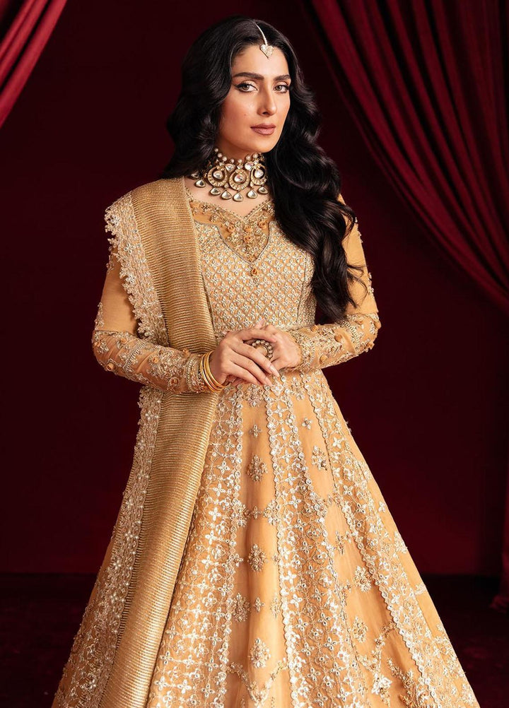 Heer Ranjha By Qalamkar Embroidered Raw Silk Suits Unstitched 3 Piece QLM23HR Fariya - Luxury Formal Collection