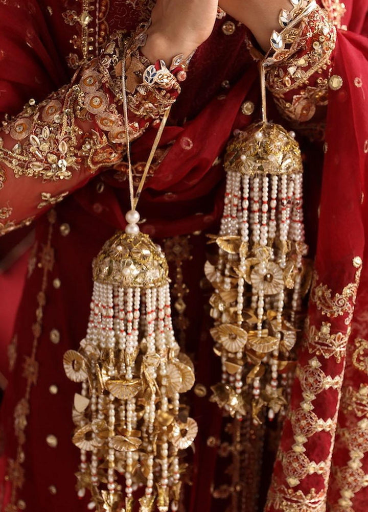 Heer Ranjha By Qalamkar Embroidered Net Suits Unstitched 4 Piece QLM23HR Mehrunnisa - Luxury Formal Collection