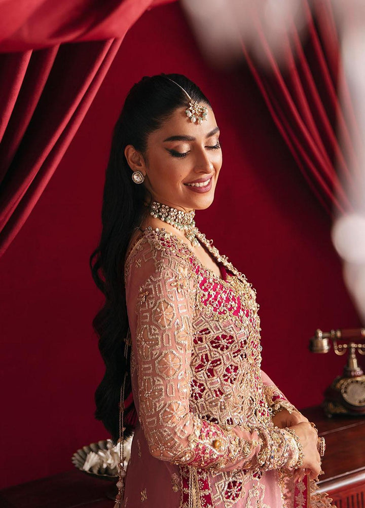 Heer Ranjha By Qalamkar Embroidered Organza Suits Unstitched 4 Piece QLM23HR Arisha - Luxury Formal Collection