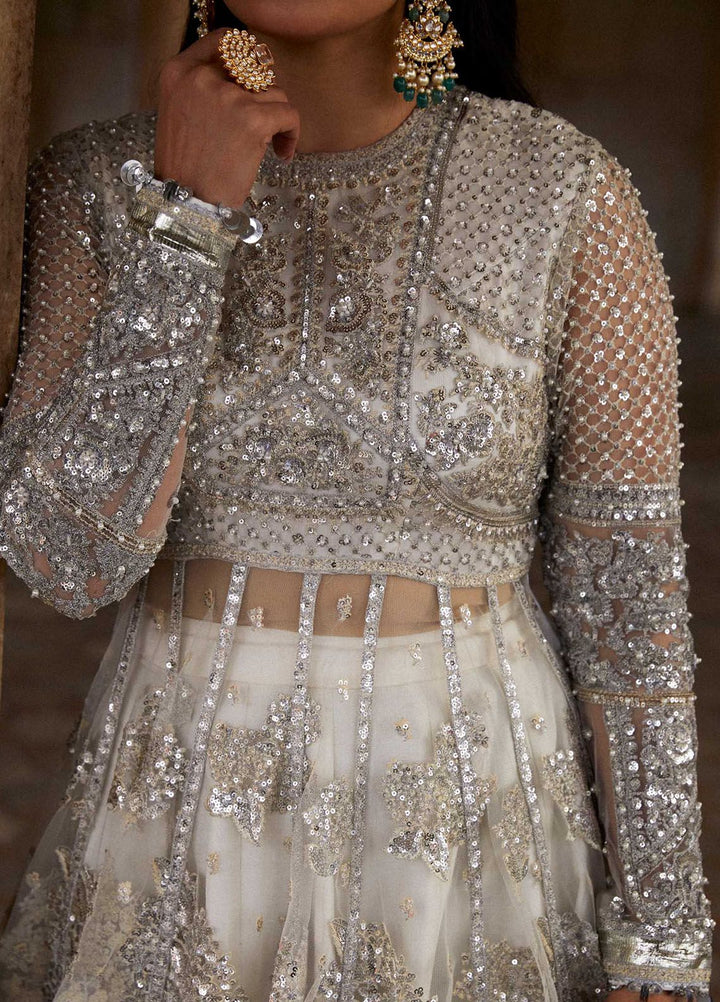 Hussain Rehar Embroidered Net Suits Unstitched 3 Piece HRR24LF Imami - Luxury Collection