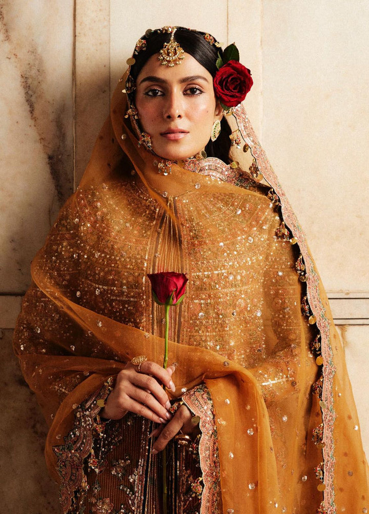 Hussain Rehar Embroidered Organza Suits Unstitched 3 Piece HRR24LF Zareena - Luxury Collection