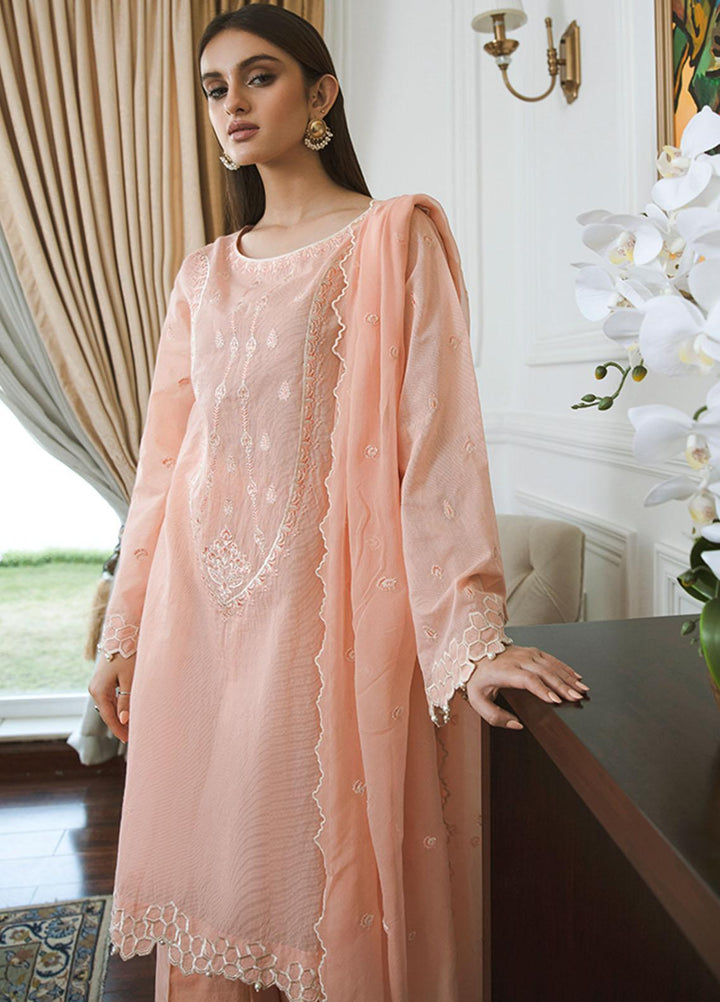 ILAHA Luxury Pret  Cotton 3 Piece Suit IL006