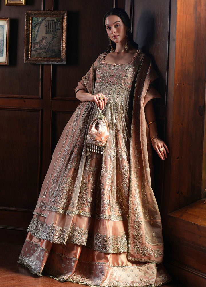 Inayat Embroidered Net Suits Unstitched 3 Piece INT25UF INFF-08 Haze - Formals Collection