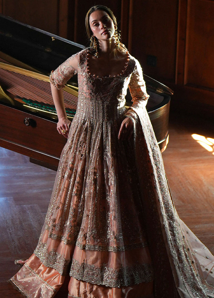 Inayat Embroidered Net Suits Unstitched 3 Piece INT25UF INFF-08 Haze - Formals Collection