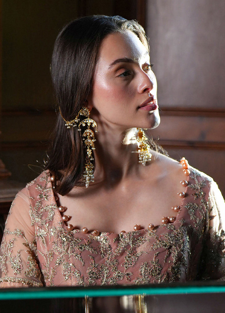 Inayat Embroidered Net Suits Unstitched 3 Piece INT25UF INFF-08 Haze - Formals Collection