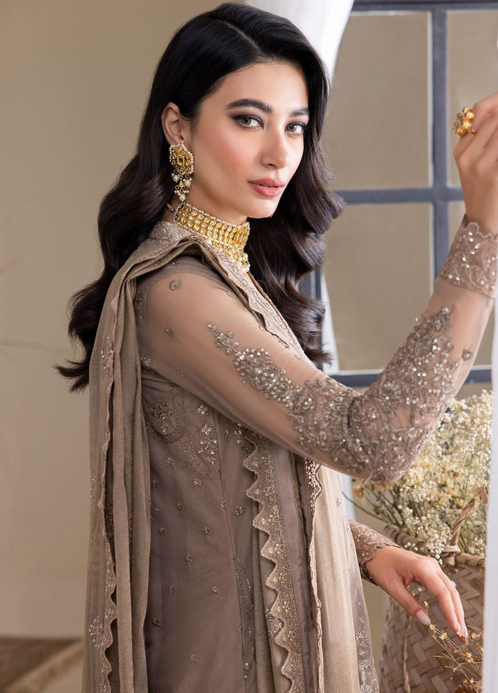 Iznik Embroidered Net Suits Unstitched 3 Piece IZ23CH CC-30 Vanessa - Luxury Collection