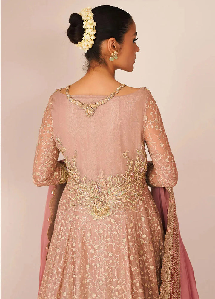 Jamnii Pret Embroidered Chiffon 2 Piece Suit Baghe Bahar