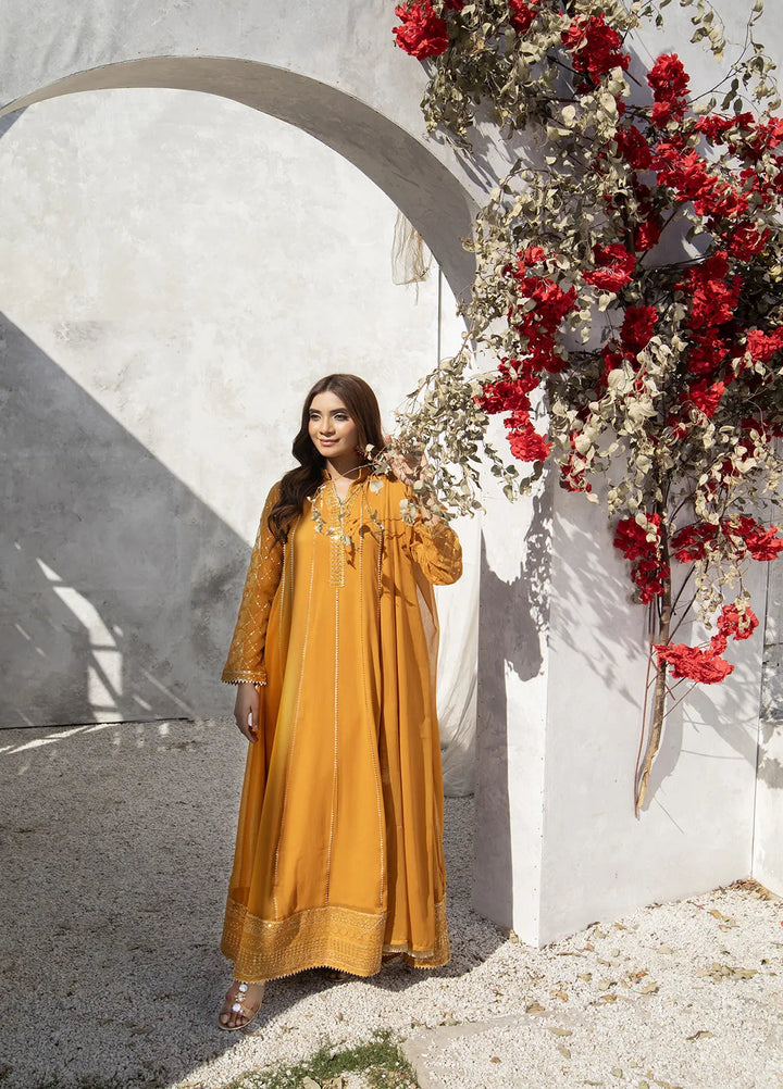 Manahils Pret Embroidered Chiffon 3 Piece Suit KURTI 106 Copper Orange