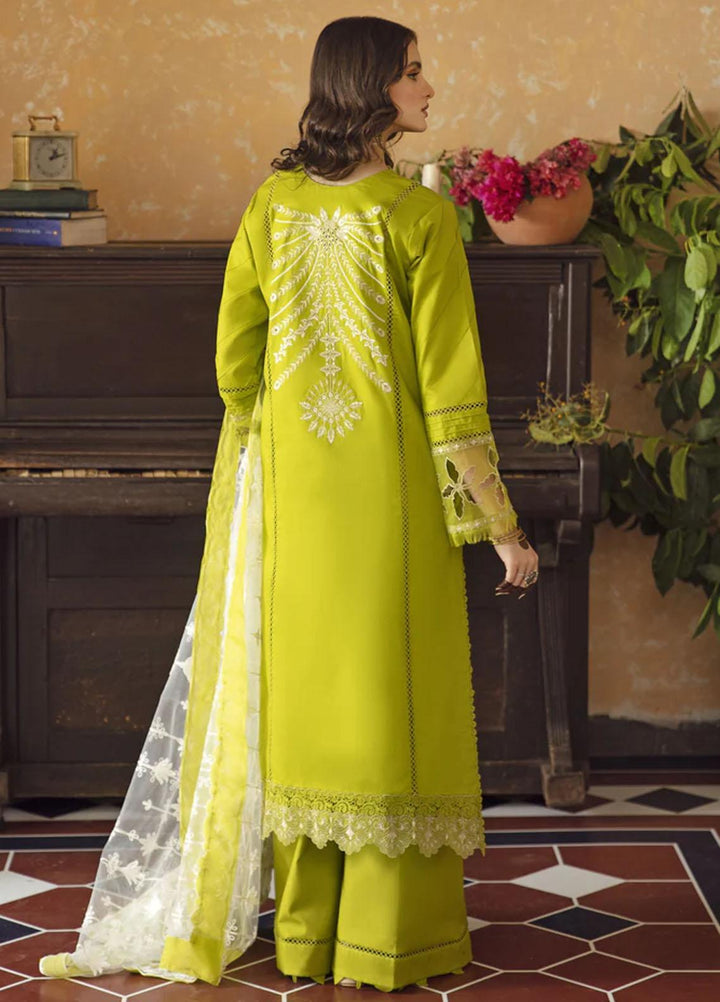 Meena Kumari By Aabyaan Embroidered Chikankari Lawn Suits Unstitched 3 Piece ABY23MK AB-03 Shamah - Eid Collection