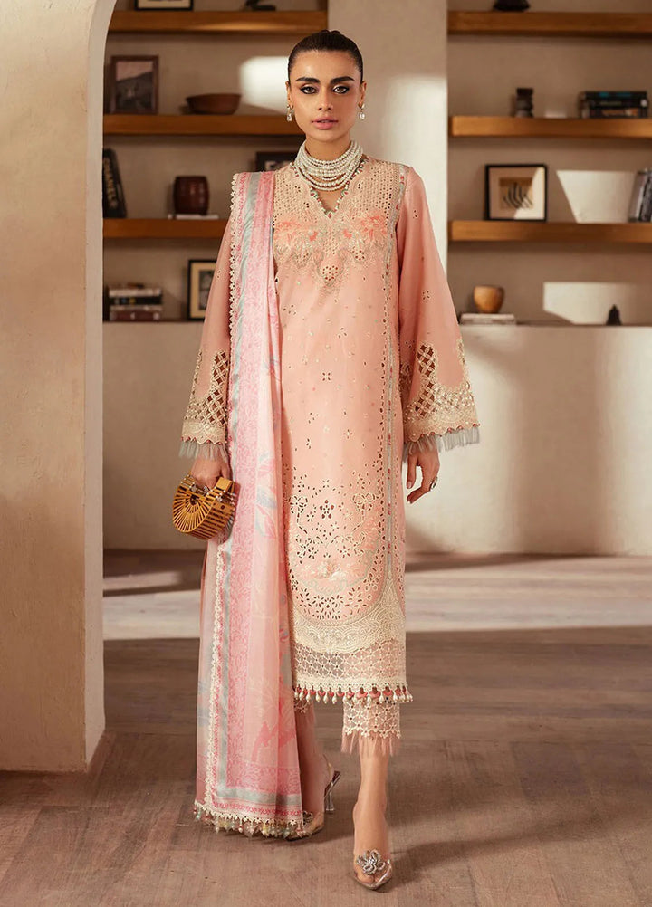 Mehroze by Bin Ilyas Embroidered Lawn Suit Unstitched 3 Piece BI25MS 91 B - Summer Collection
