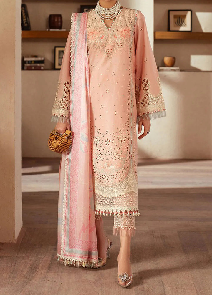 Mehroze by Bin Ilyas Embroidered Lawn Suit Unstitched 3 Piece BI25MS 91 B - Summer Collection