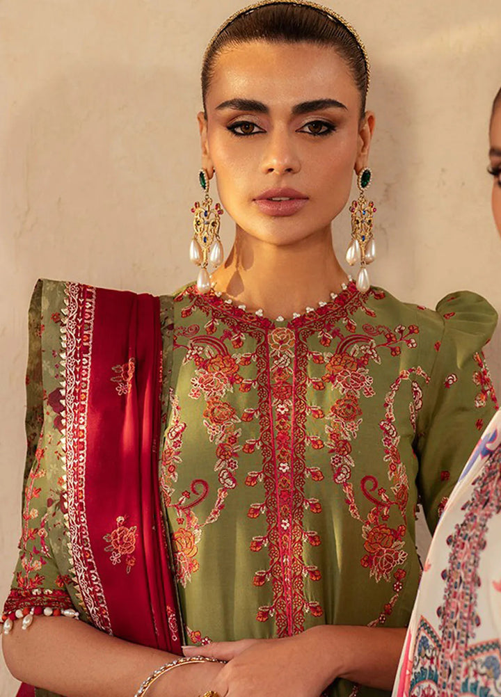 Mehroze by Bin Ilyas Embroidered Lawn Suit Unstitched 3 Piece BI25MS 93 B - Summer Collection