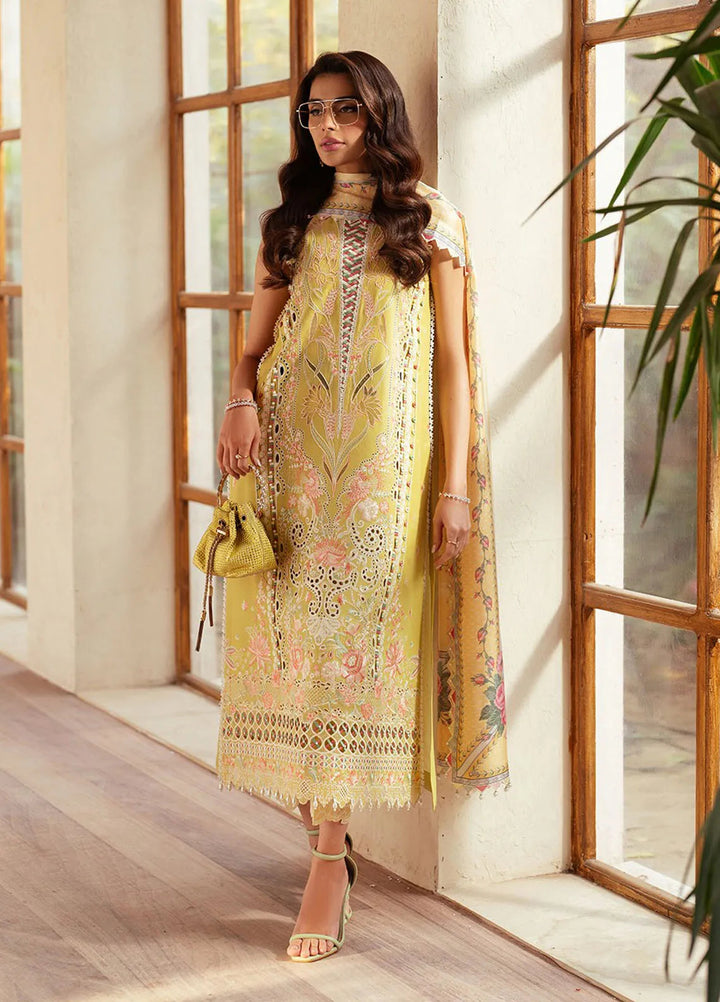 Mehroze by Bin Ilyas Embroidered Lawn Suit Unstitched 3 Piece BI25MS 97 B - Summer Collection