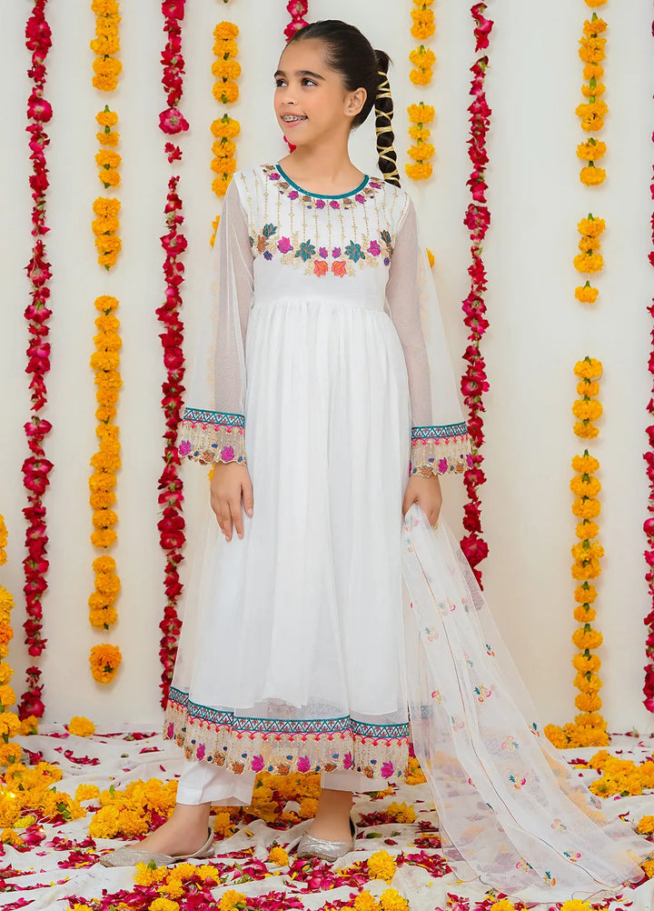 Modest Pret Chandni Net 3 Piece Suit Chandni