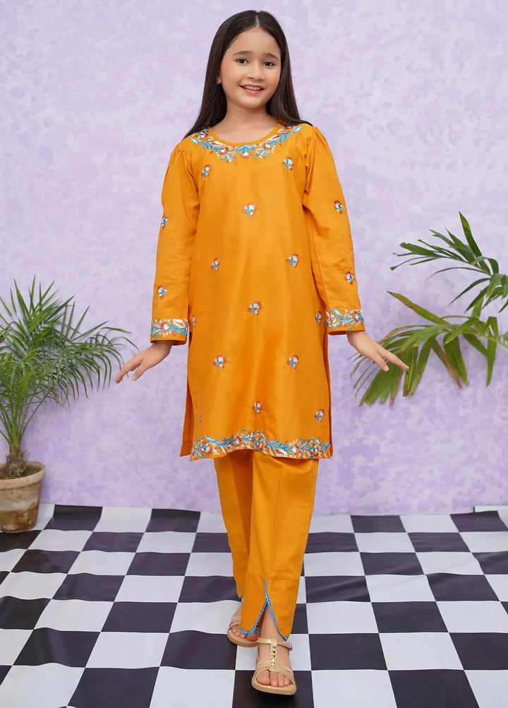 Modest Pret Embroidered Cotton 2 Piece Suit 8485