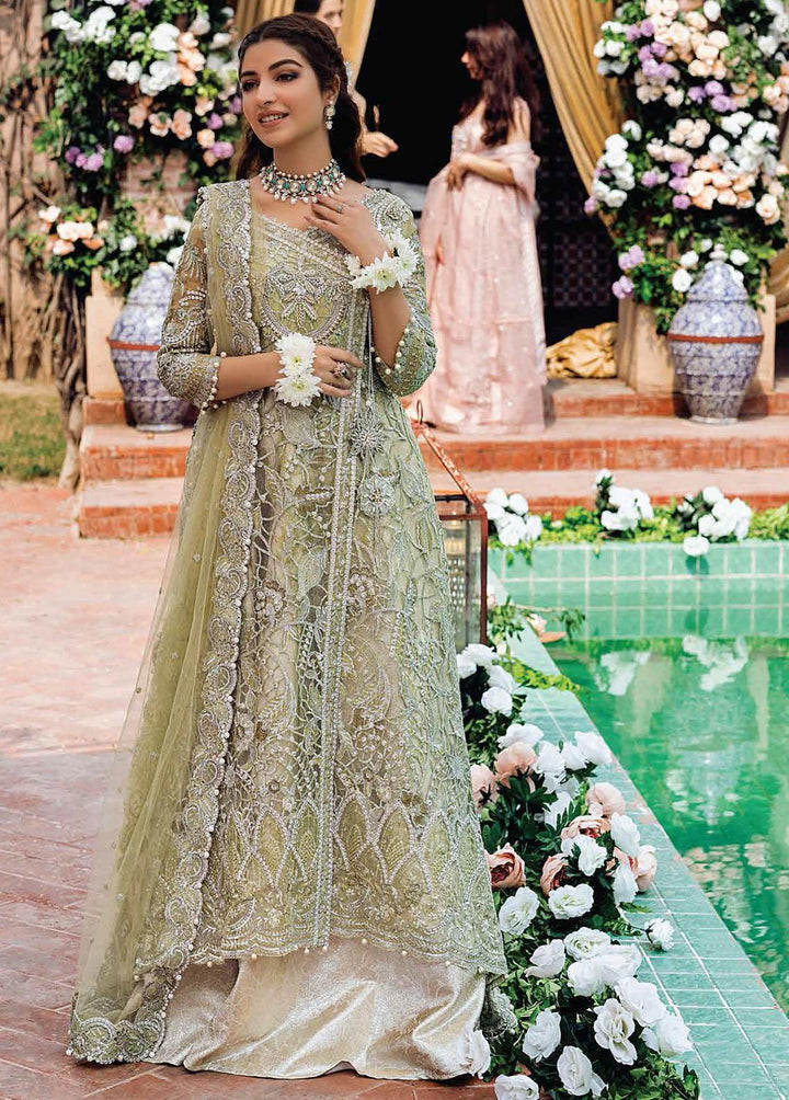 Dhee Rani By Mushq Embroidered Net Suits Unstitched 3 Piece MQ21WD TDL21-07 Leela - Wedding Collection