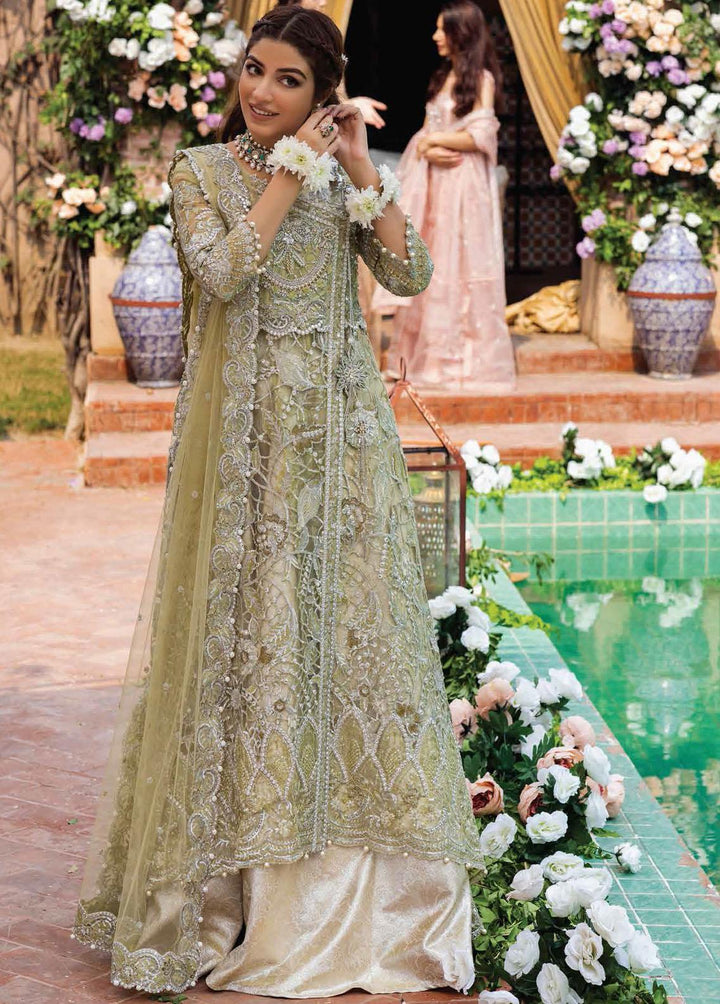 Dhee Rani By Mushq Embroidered Net Suits Unstitched 3 Piece MQ21WD TDL21-07 Leela - Wedding Collection