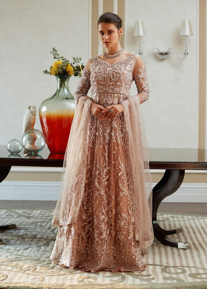 Amour By Mushq Embroidered  Suits Unstitched 4 Piece MQ23WD TDL23-05 Hazel - Wedding Collection