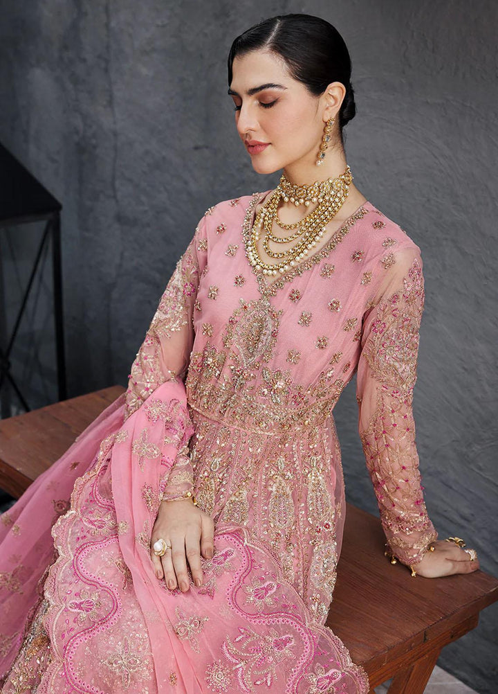 Nawabzadi By Emaan Adeel Embroidered Net Suits Unstitched 3 Piece NZ23EA NW-04 - Luxury Collection