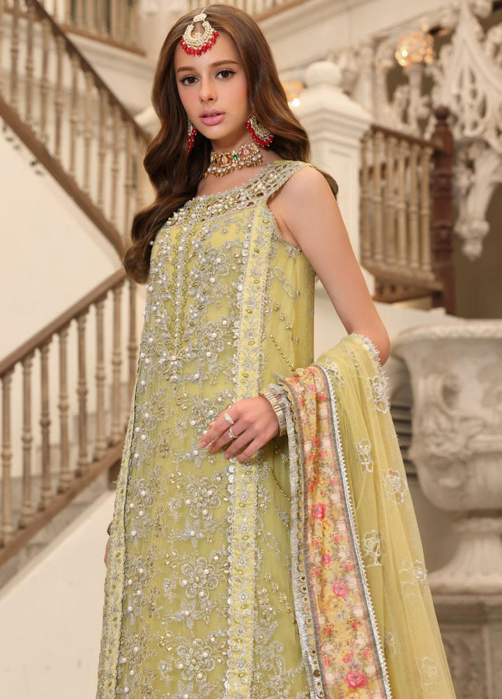 Noor Formals By Saadia Asad Embroidered Chiffon Suits Unstitched 3 Piece NSA23FF D-1 Naznin - Festive Collection
