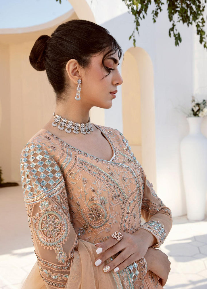 Nyra By Akbar Aslam Embroidered Net Suits Unstitched 4 Piece AA23N 1464 Leah - Wedding Collection
