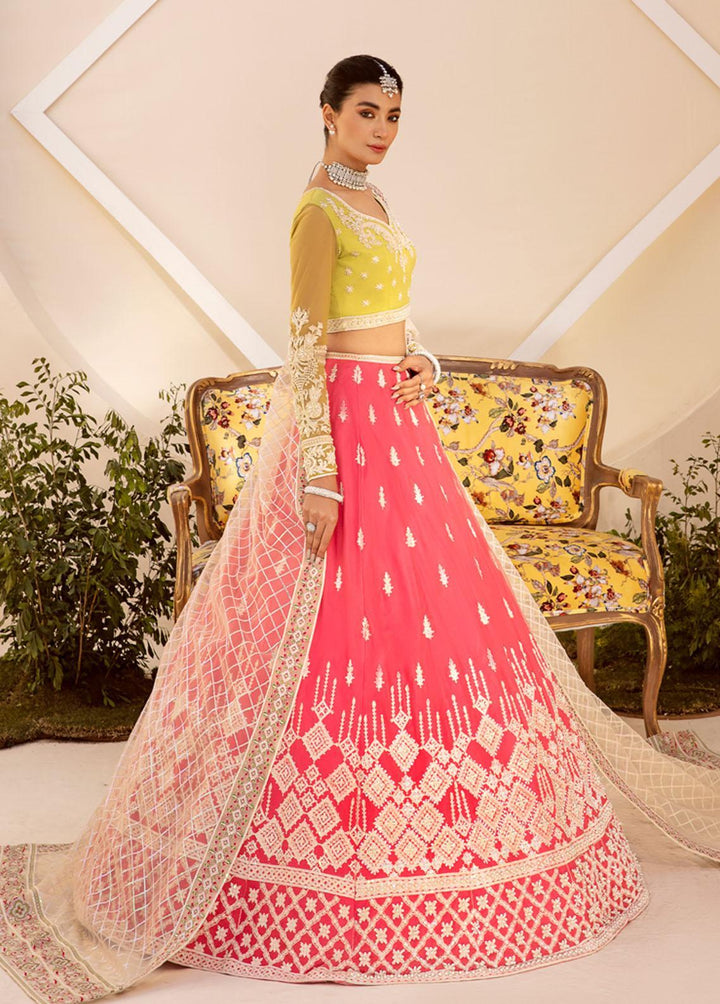 Nyra By Akbar Aslam Embroidered Net Suits Unstitched 4 Piece AA23N 1465 Meyer - Wedding Collection