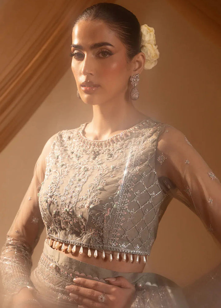 Paras by Pasha Embroidered Net Suits Unstitched Saree PBP25NJ Abr-e-Shaam - Formal Collection