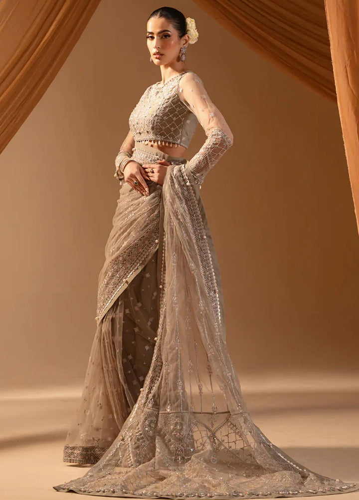 Paras by Pasha Embroidered Net Suits Unstitched Saree PBP25NJ Abr-e-Shaam - Formal Collection