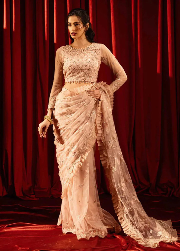 Paras by Pasha Embroidered Net Suits Unstitched Saree PBP25NJ Shab-e-Gulabi - Formal Collection