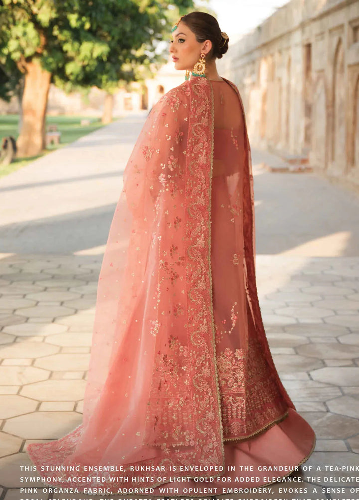 Pehli Nazar by Ayzel Embroidered Organza Suit Unstitched 3 Piece AAF24P D-06 Rukhsar - Festive Collection