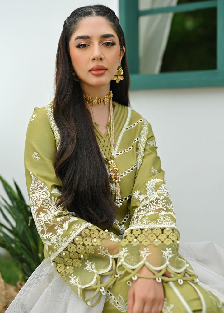 Qalamkar Pret Embroidered Lawn  3 Piece Suit QLM23-CP2 ZP-06 Dina