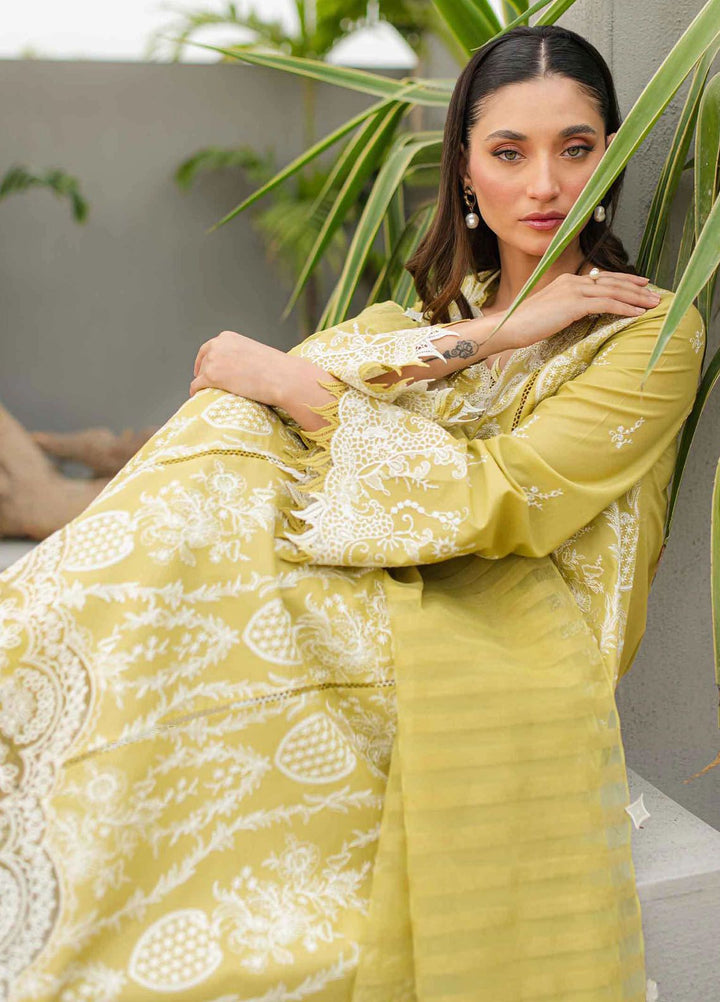 Qalamkar Embroidered Lawn Suits Unstitched 3 Piece QLM24Q JK-02 Melis - Summer Collection