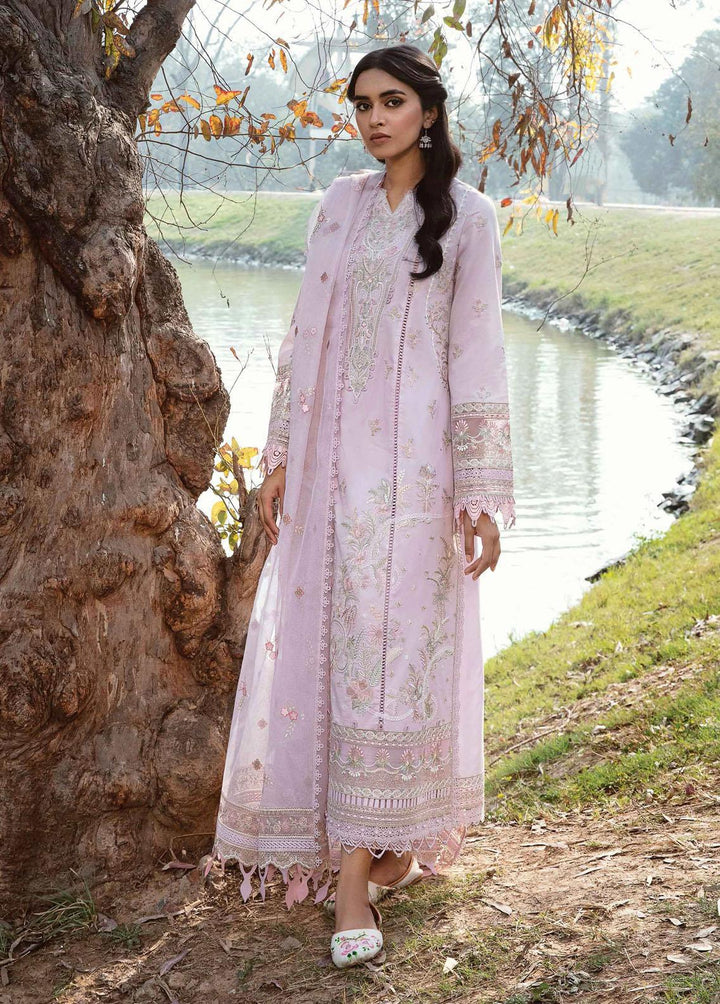 Qline by Qalamkar Embroidered Lawn Suits Unstitched 3 Piece QLM23Q AK-08 Sibel - Luxury Collection