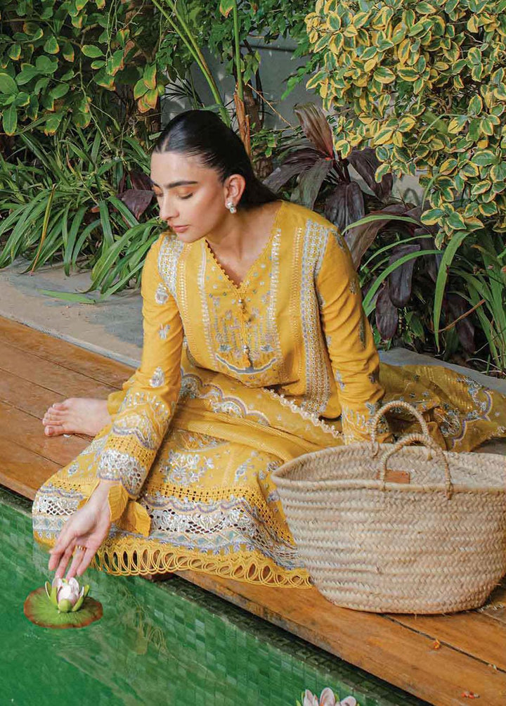 Qline By Qalamkar Embroidered Linen Suits Unstitched 3 Piece QLM23LN WL-09 Valeria - Winter Collection