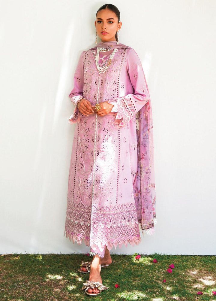 Qlinekari By Qalamkar Embroidered Chikankari Suits Unstitched 3 Piece QLM23QL RT-03 Amaya - Summer Collection