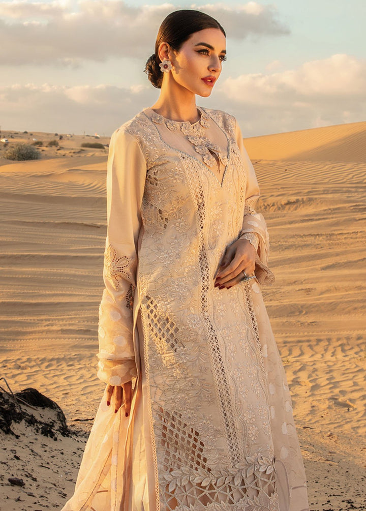 Rang Rasiya Embroidered Lawn Suits Unstitched 3 Piece RR24PS D-03 Elaheh - Summer Collection