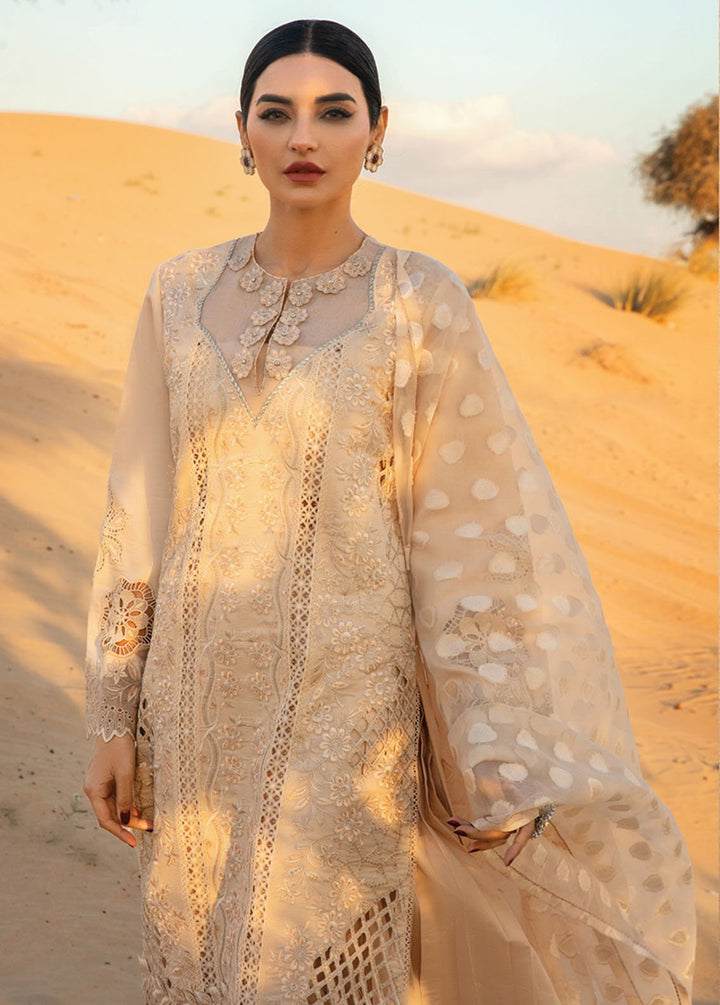 Rang Rasiya Embroidered Lawn Suits Unstitched 3 Piece RR24PS D-03 Elaheh - Summer Collection