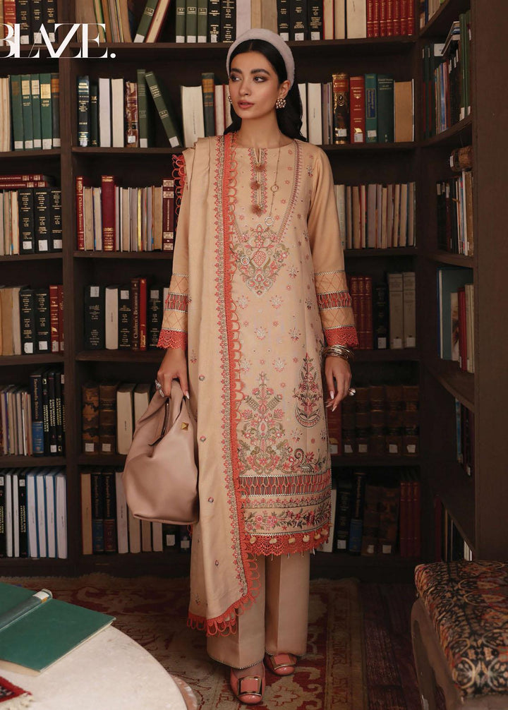 Rang Rasiya Embroidered Karandi Suits Unstitched 3 Piece RRV2WP22D3 Blaze - Winter Collection