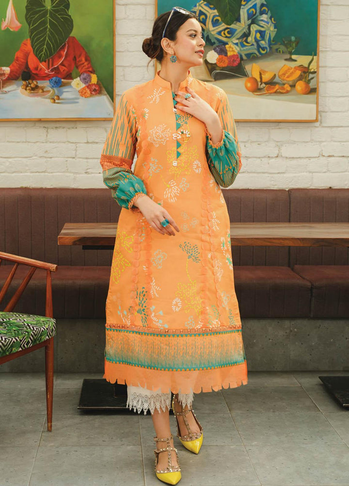 Rang Rasiya Printed Lawn  Unstitched Kurti RR23T 03 Rose Mary - Summer Collection