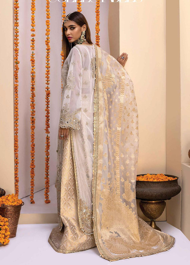 Heritage Collectables By Rang Rasiya Embroidered Net Suits Unstitched 3 Piece RR-FH-21-D3 Nauratan - Wedding Collection