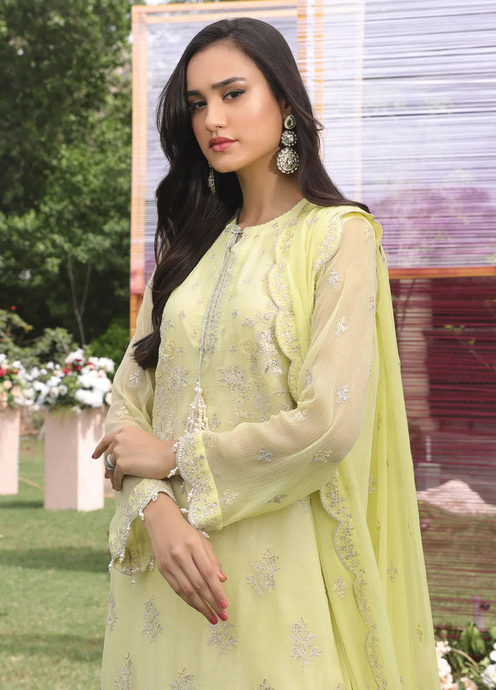 Raya By Salitex Embroidered Chiffon Suit Unstitched 3 Piece UNW24CH006UT - Festive Collection