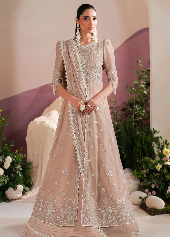 Reena by Alizeh Fashion Embroidered Chiffon Suit Unstitched 3 Piece AFB25RE D-4039 Sakura - Formals Collection