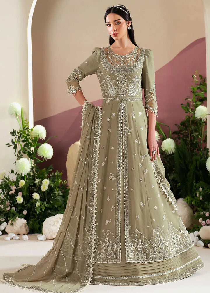 Reena by Alizeh Fashion Embroidered Chiffon Suit Unstitched 3 Piece AFB25RE D-4040 Tunic - Formals Collection