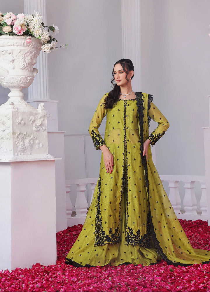 Rehan N Muzammil Pret Embroidered Khaadi Net 4 Piece Suit Camilia