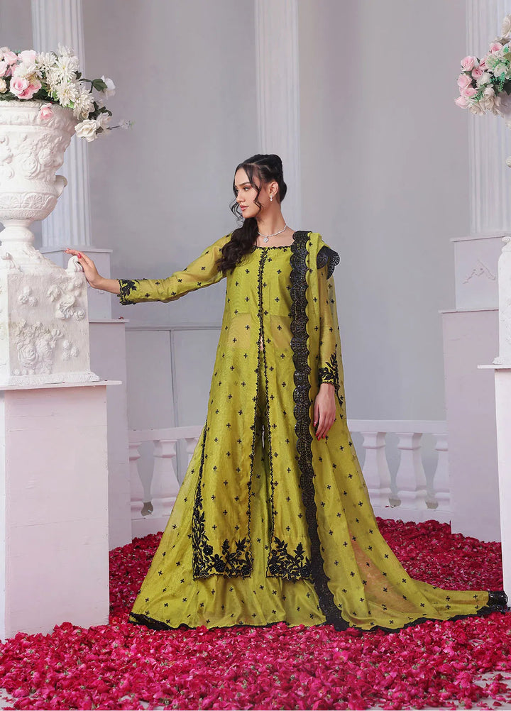 Rehan N Muzammil Pret Embroidered Khaadi Net 4 Piece Suit Camilia