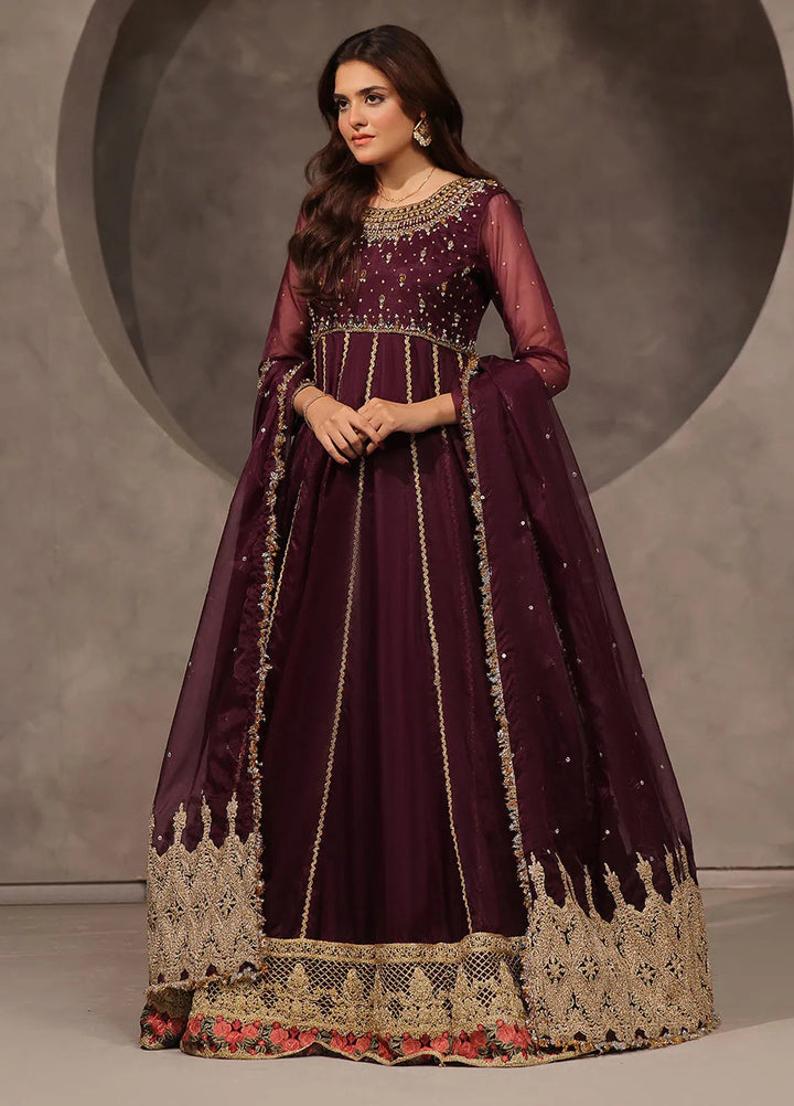Rehan N Muzammil Pret Embroidered Organza 2 Piece Suit Afreen