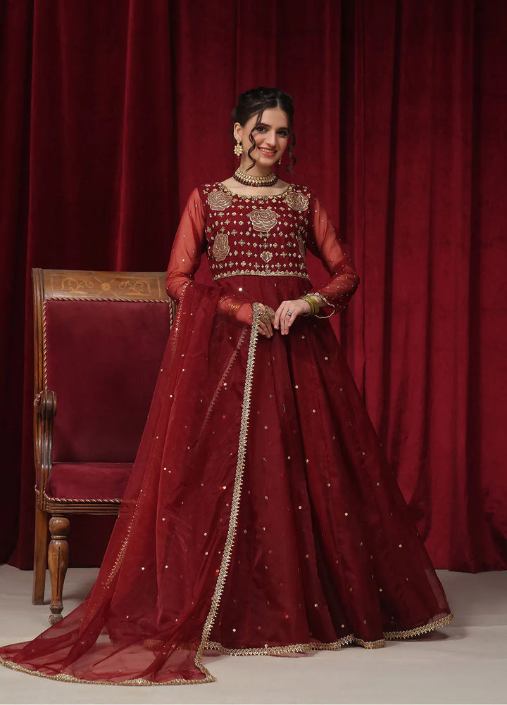 Rehan N Muzammil Pret Embroidered Organza 2 Piece Suit Anabiya
